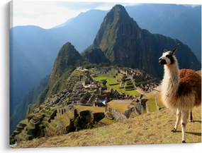 Tablou - Lama și Machu Picchu (70x50 cm)