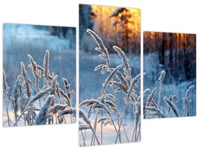 Tablou - Pajiște de iarnă (90x60 cm)