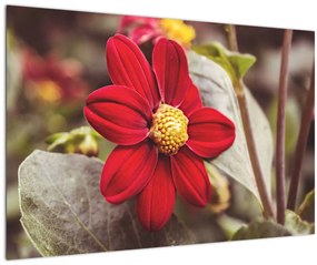 Tablou cu floare (90x60 cm)