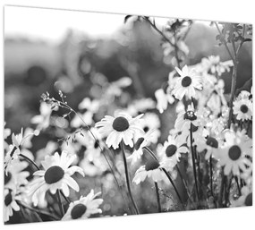 Tablou pe sticlă - Margarete (70x50 cm)