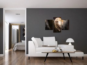Tablou cu bufnița (90x60 cm)