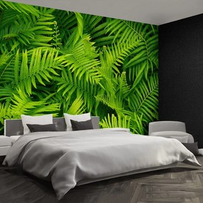 Fototapet Green Fern