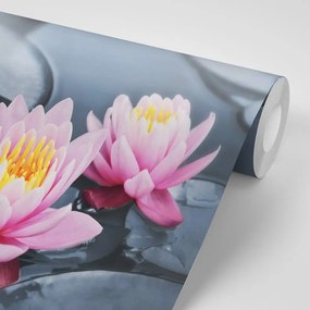 Fototapet autoadeziv floare de lotus în lac