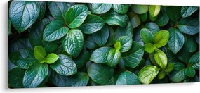 Tablou - Plante verzi (120x50 cm)