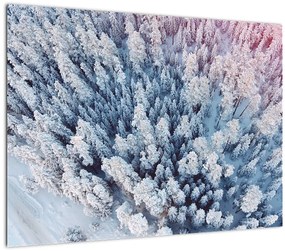 Tablou pe sticlă cu copaci înzăpeziți (70x50 cm)