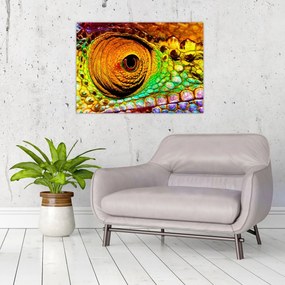 Tablou - Cameleon (70x50 cm)