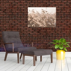 Tablou - Adiere de luncă (70x50 cm)