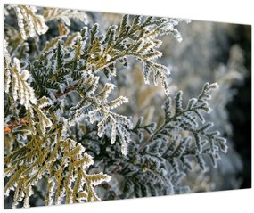 Tablou - Detaliu ramură (90x60 cm)