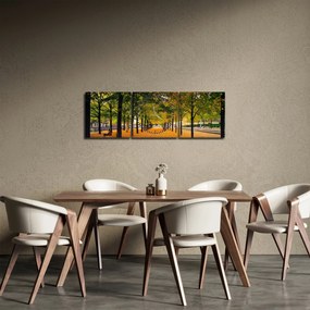 Tablou cu alee cu copaci în toamnă (cu ceas) (90x30 cm)