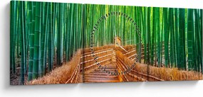 Tablou - Pădure de bambus japoneză (cu ceas) (90x30 cm)