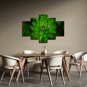 Tablou cu coniferi (150x105 cm)