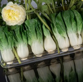 Aranjament floral decor festiv design LUX RECTANGULAR VASE ZANTE