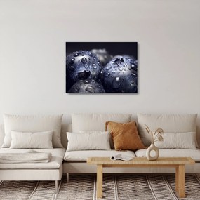 Tablou pe sticlă cu fructe cu picături de apă (70x50 cm)