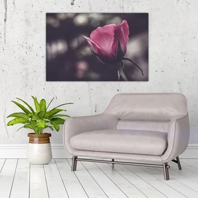 Tablou - Detaliu florii de trandafir (90x60 cm)