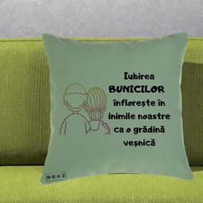 Cadou pentru Bunici - Perna Personalizata Iubirea Bunicilor Infloreste Cuplu Line Art Gradient, 40x40 cm, Verde, Husa Detasabila, Perna Inclusa, BEKZ®