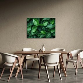 Tablou pe sticlă - Frunze verzi (70x50 cm)