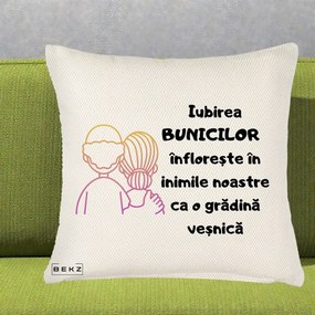 Cadou pentru Bunici - Perna Personalizata Iubirea Bunicilor Infloreste Cuplu Line Art Gradient, 40x40 cm, Crem Reliefat, Husa Detasabila, Perna Inclusa, BEKZ®