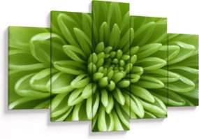 Tablou - Imagine macro a unei plante (150x105 cm)