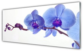 Tablou pe sticla Flori Floral Albastru Violet