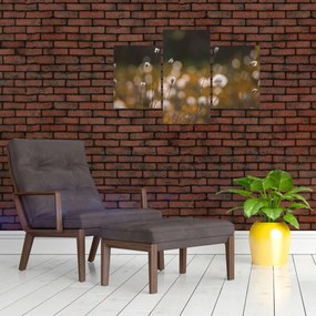 Tablou - Pajiște cu iarbă de cozonac N⁰2 (90x60 cm)