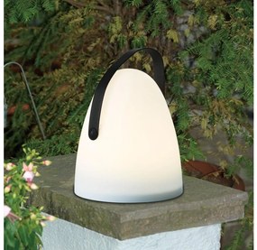 Lampă LED de masă Eglo 48841 COLLIRADOS LED/3xAA IP44