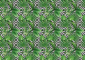 Fototapet - Geometrie și frunze (152,5x104 cm)