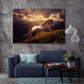 Tablou Canvas - Running horse 50 x 80 cm