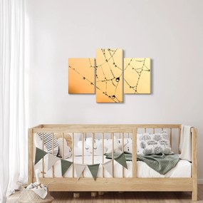 Tablou cu pânză de pâianjen cu rouă (90x60 cm)