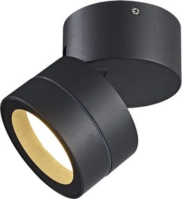 Aplica exterior cu spot GX53 directionabil IP65 SALER gri inchis