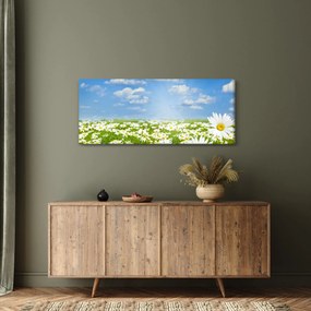 Tablou cu luncă înflorită cu margarete (120x50 cm)