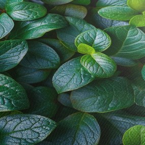 Tablou - Plante verzi (120x50 cm)