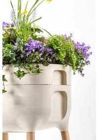 Recipient scund de cultivare Plastia Urbalive, crem
