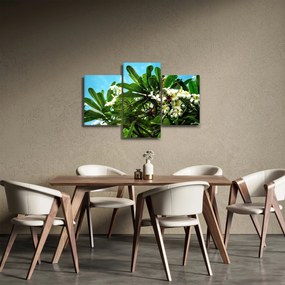 Tablou - Plumeria (90x60 cm)