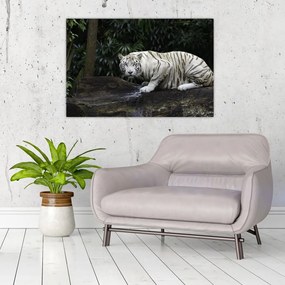 Tablou - Tigru alb (90x60 cm)
