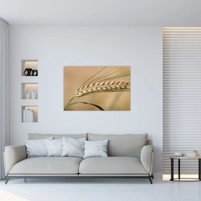 Tablou - Grâu (90x60 cm)