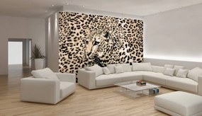 Fototapet - Fiara (152,5x104 cm)