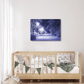 Tablou pe sticlă - Noaptea magică de iarnă (70x50 cm)