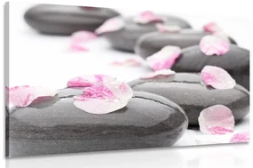 Tablou petale pe pietre de wellness