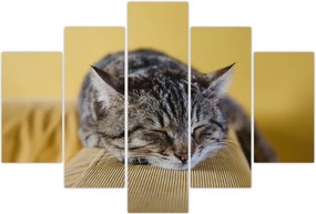 Tablou cu pisica pe fotoliu (150x105 cm)