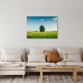 Tablou cu copaci pe luncă (70x50 cm)