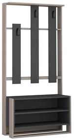 Cuier de perete cu raft pentru încălțăminteChester Light Mocha and Anthracite