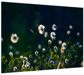 Tablou - Iarbă (70x50 cm)