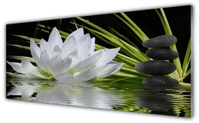 Tablou pe sticla Pietrele de flori Apă Floral Alb Negru