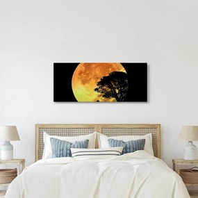 Tablou cu umbre în lumina lunii (120x50 cm)