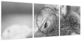 Tablou - Lup,alb-negru (cu ceas) (90x30 cm)