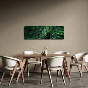 Tablou - Detaliu al foii (cu ceas) (90x30 cm)