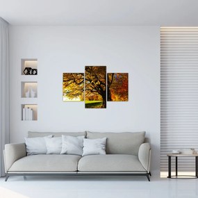 Tablou cu toamna (90x60 cm)