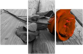 Tablou - Trandafir portocaliu (90x60 cm)