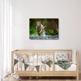 Tablou pe sticlă cu trigrul fugind (70x50 cm)