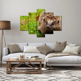 Tablou cu arici (150x105 cm)